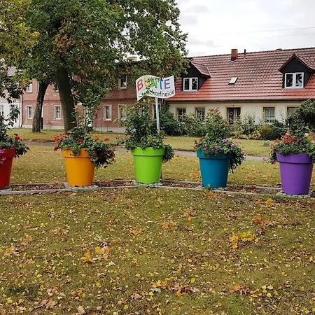 Rotwild * Schorfheide